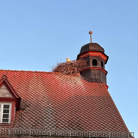 Time Out 헤르초게나우라흐