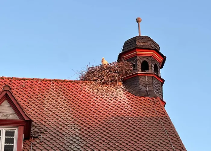 Time Out Herzogenaurach